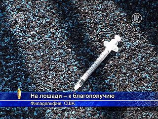 Общение с лошадьми оберегает от наркотиков