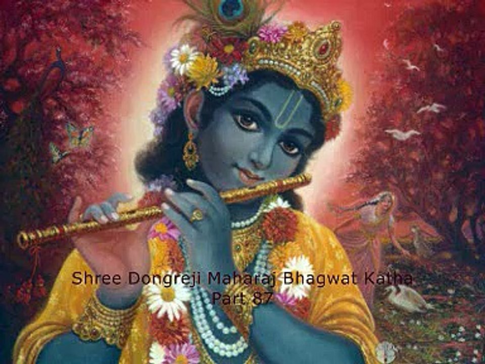 Shree Dongreji Maharaj Bhagwat Katha Part 87