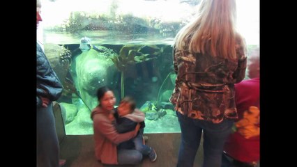 Dung, Kha, Brandon, Lynda, and Dennis at the California Academy of Sciences