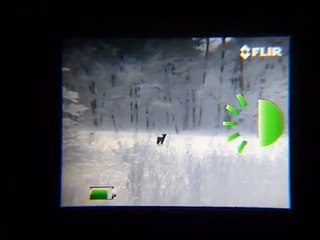 Rehe und Wärmebildkamera Flir Scout PS32