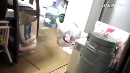 Went to the toilet - do the cleaning yourself!