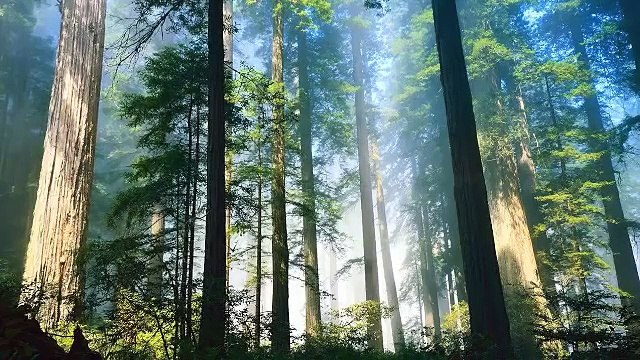 Worship Music - Lost in you - Piano worship Soaking Prayer Music - Musica para orar profetica