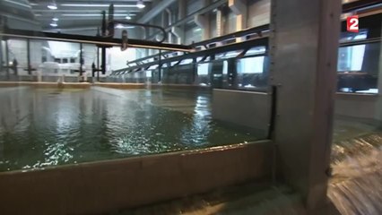 Sciences - Le simulateur de crues - 2015/08/29