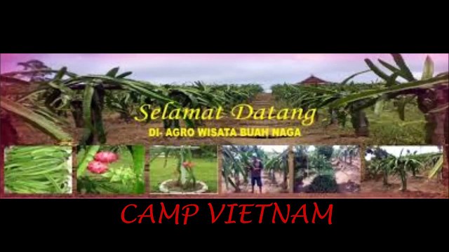 0813 7204 6788 (TELKOMSEL), paket tour murah ke batam,MUTIARA BATAM TOUR AND TRAVEL