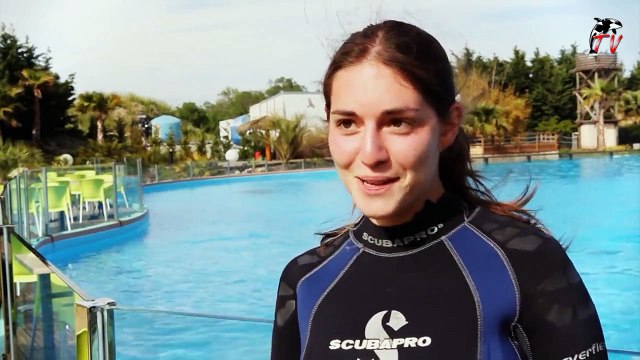 Marineland Immersion - Soigneur de dauphins - Episode 4/4