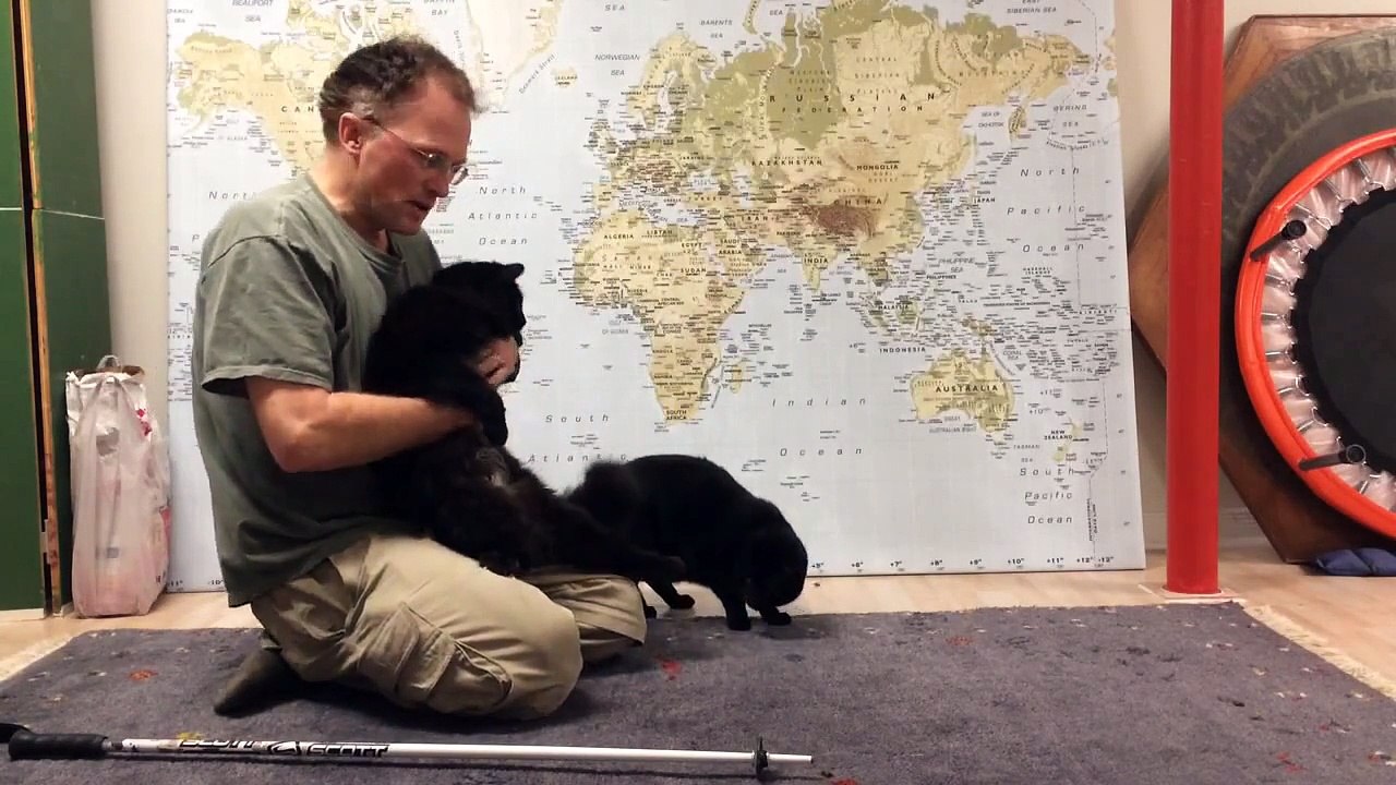 Abrupt climate change Part A