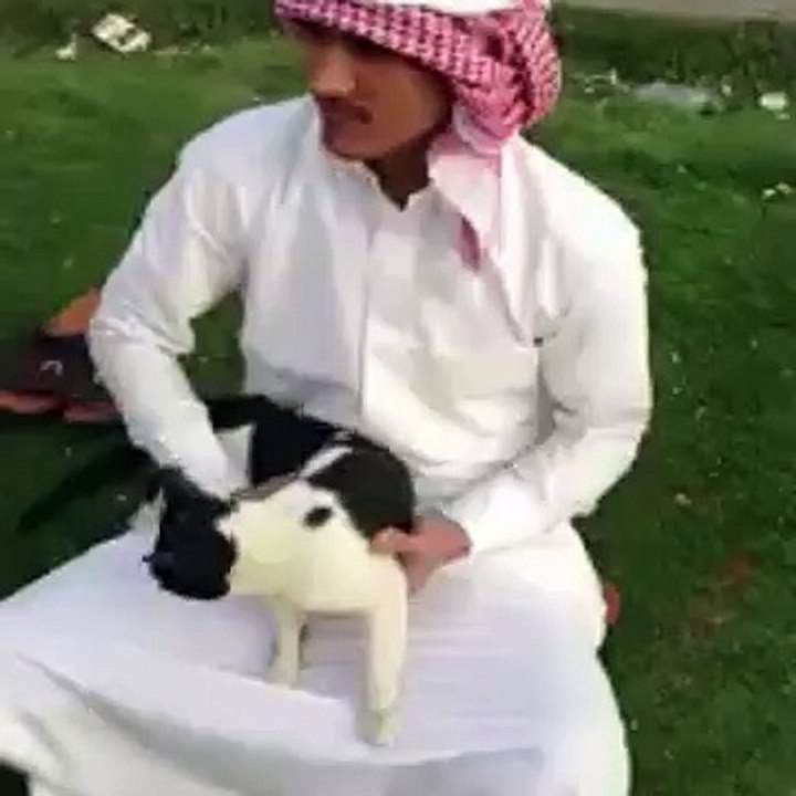Funny clip