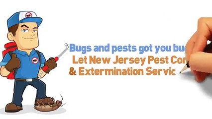 Pest-Control-NJ-E-and-G-Exterminators-South-A
