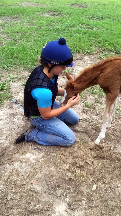 Baby Horse Gently Tackles A Girl Just To Give Her A Hug