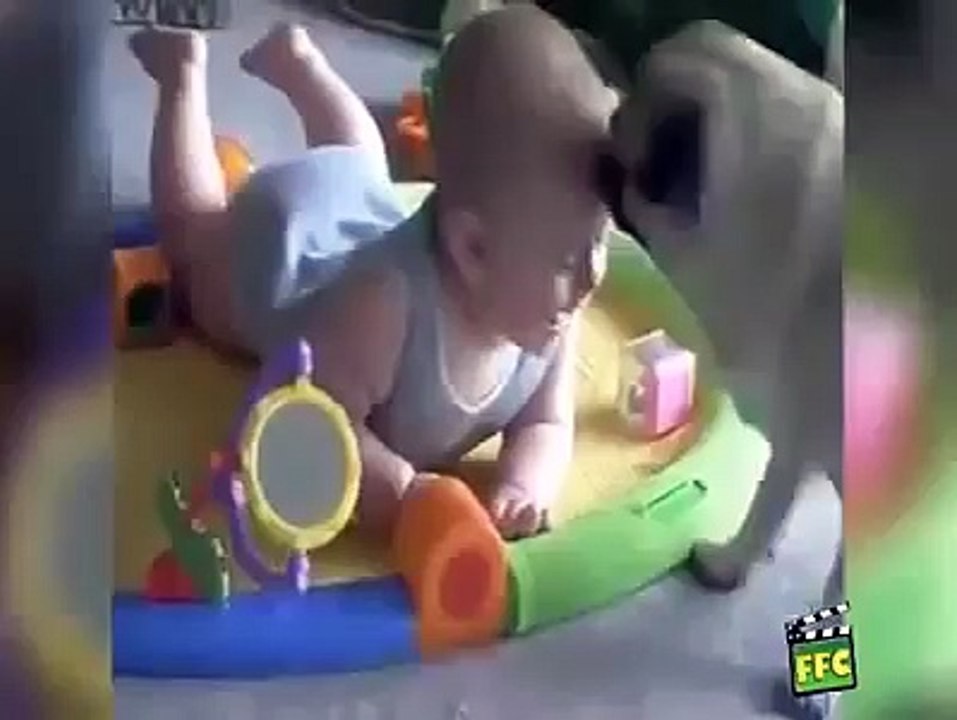 Funny,Funny Videos, funny baby game,funny dog,cat,cute, clip 2015,niềm vui của bé và chó mèo