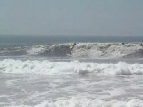 Andr&Necas KS Figueira da Foz