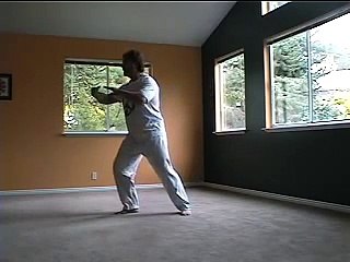 Aikitaiji.com: Learn Tai Chi Online: lesson six