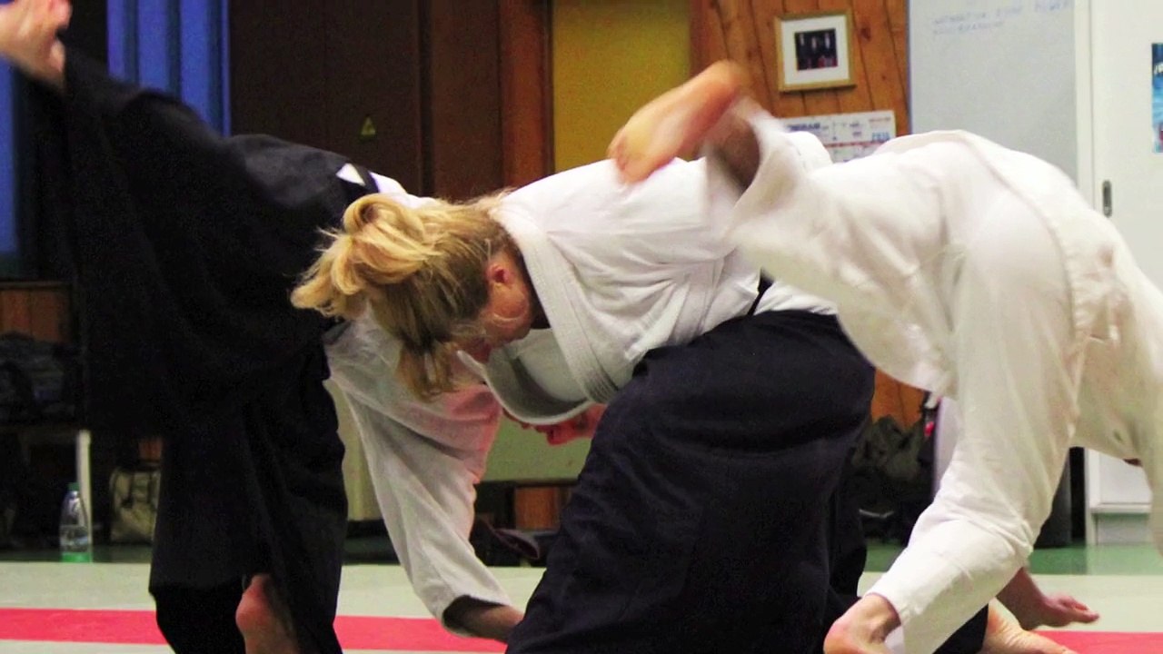 The Aikido Notebooks with Michel Erb Sensei Part 16 Futari Dori