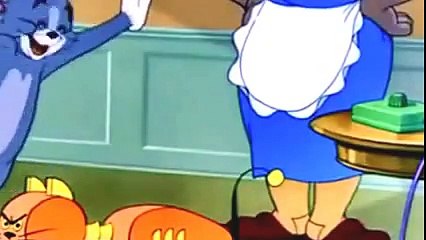 tom an jery best cartoon