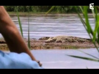 The Monster Gustave Giant Crocodile