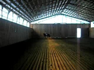 Choco trot sur Diagonale