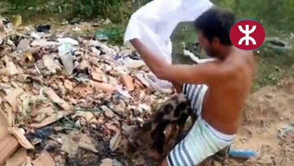 un homme qui vient en aide au animaux abandonnés combien de j'aime pour lui