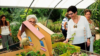 Ponen en marcha un Hospital de Plantas gratuito