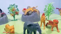 Wild Animals Fun Video for Children - Jungle, Safari Animal Toys