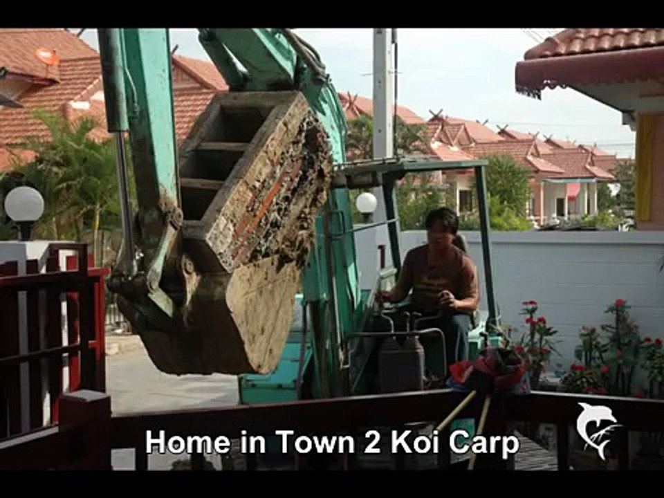 วิทีทำปลาคราฟ KOI CARP
