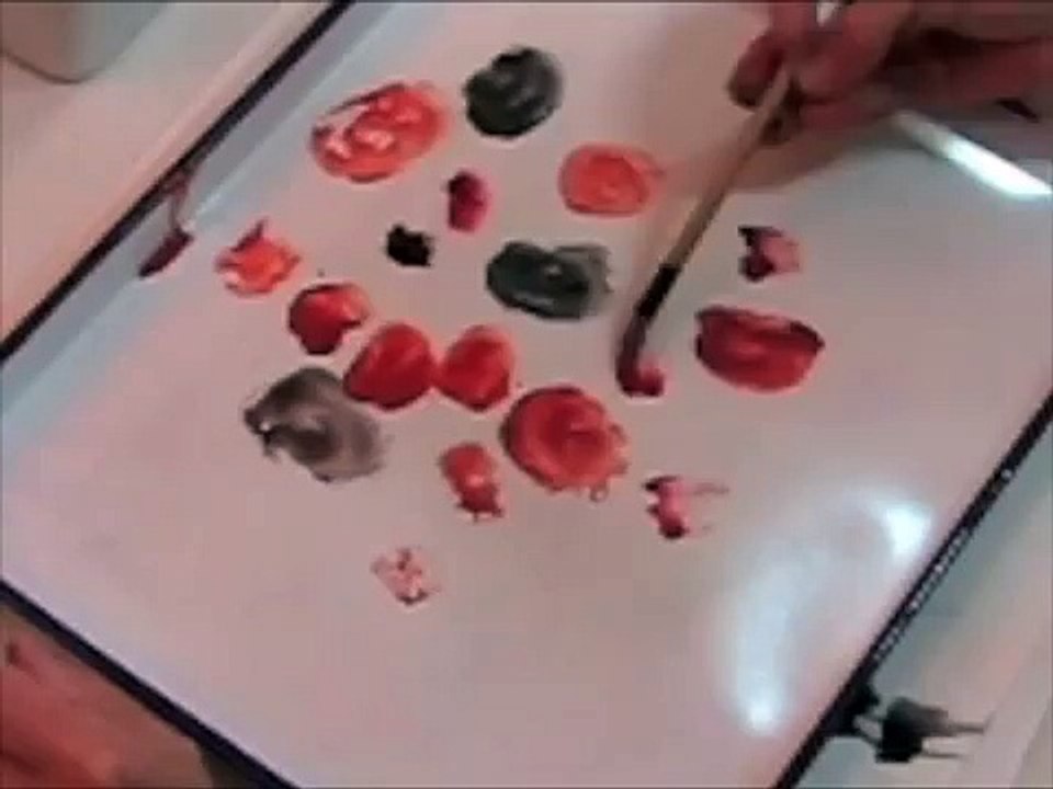 plum blossom instruction 1