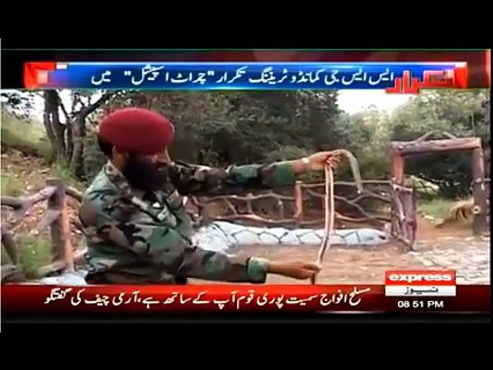 Pakistan ssg