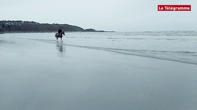 Plestin-les-Grèves (22). Galop d'essai sur la plage de Saint-Efflam