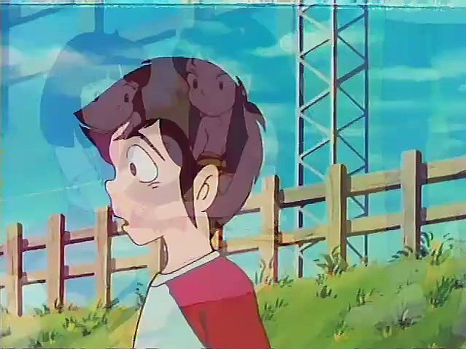 LUM - 004