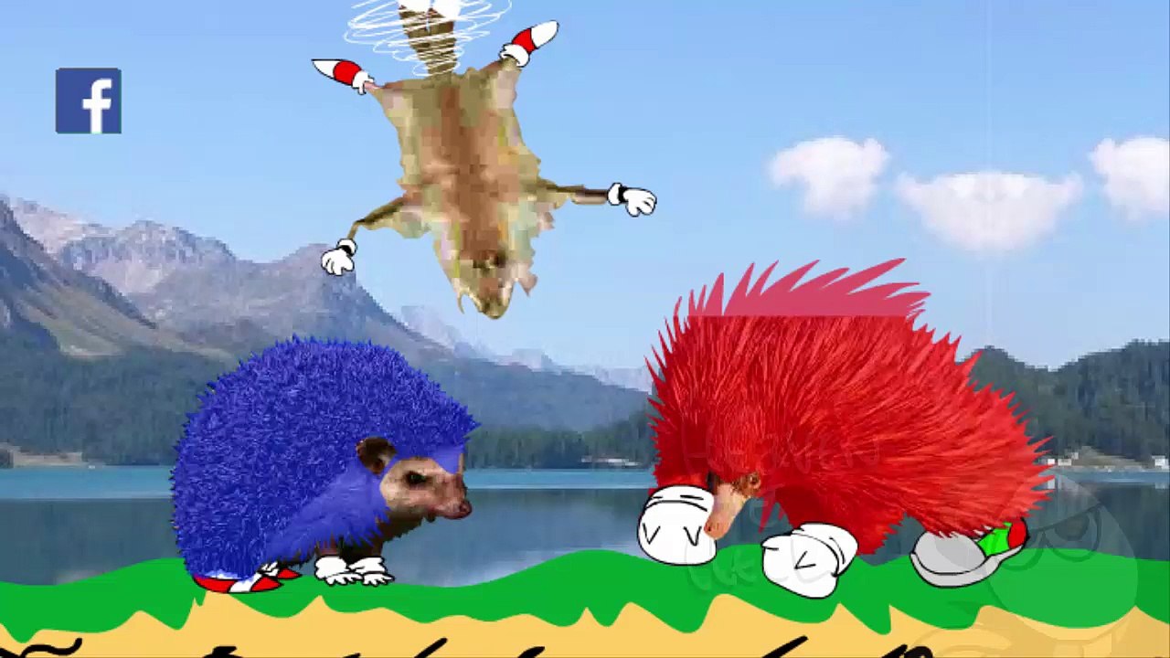 Sonic Batalha Final