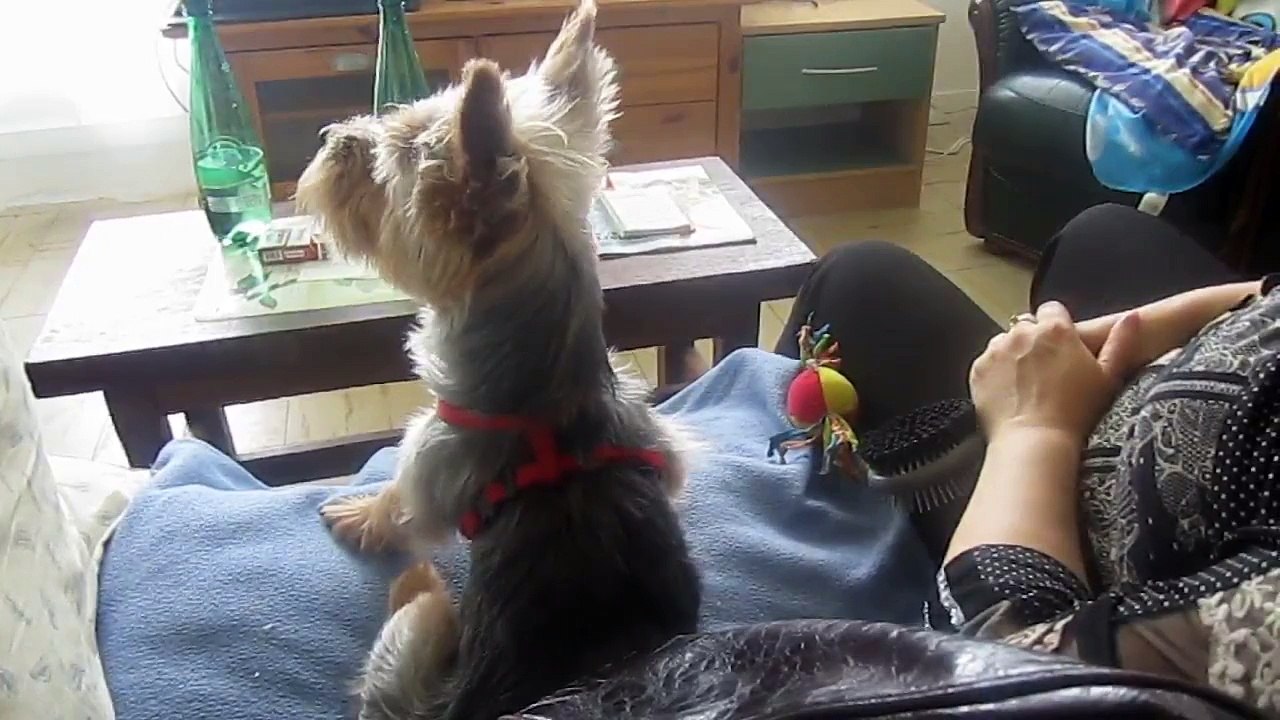 INNA KIKI