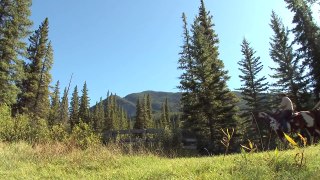 The Banff to Jasper Road Trip