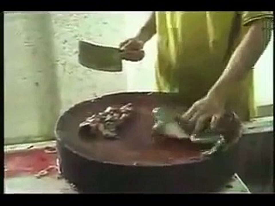 Whatsapp funny videos(7)