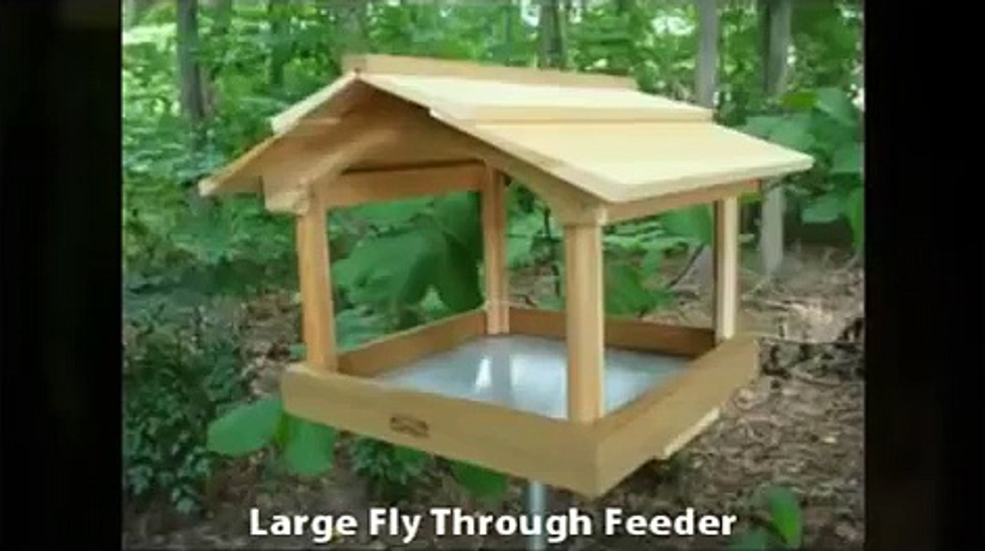 Wild Bird Feeders Bird Feeders Workshop Creations Video