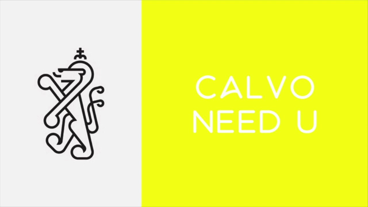 Calvo - Need U