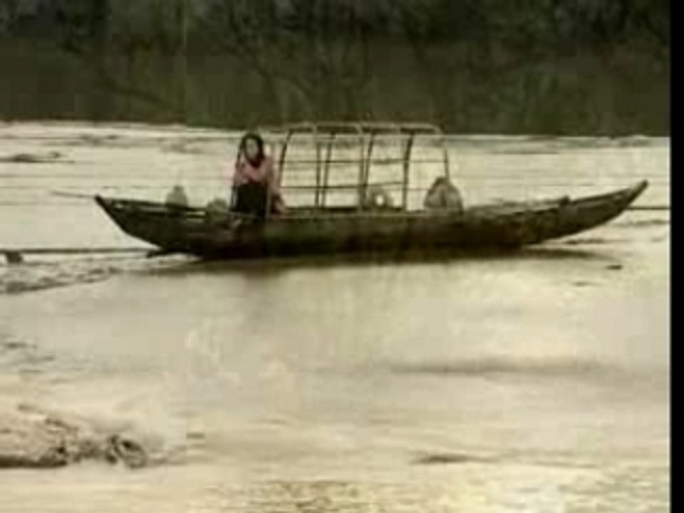 Cam Ly_Mua qua pho vang