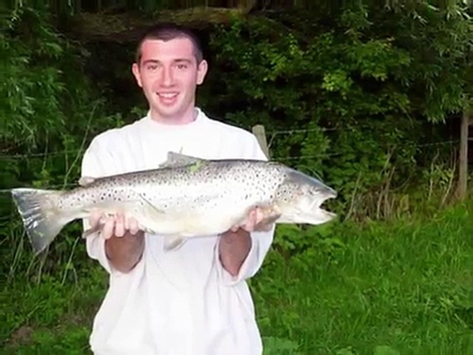 VIDEO TRUITE DE MER