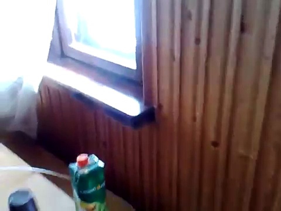 Самый злой кот в мире