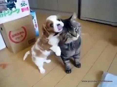 Кто то любит, а кто то позволяет чтобы его любили