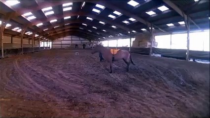 Belle Dame de Giez débourrage août 2015