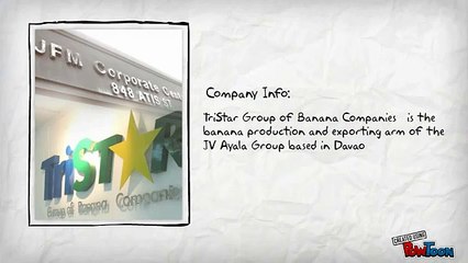 Database Management System