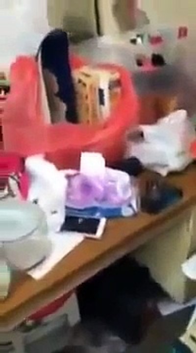 HOT NEWS # SIMPANAN CANTIK AND SUAMI KEPERGOK SELINGKUH OLEH ISTRI TUA