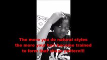 Natural Hairstyles | (Thick Hair)