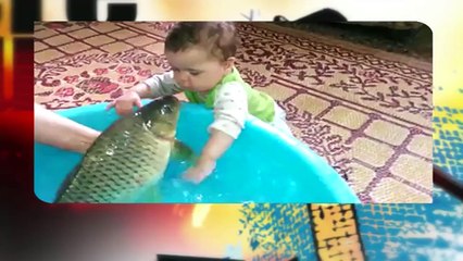 GeoDost Amazing Video Fish Playing with Little Baby