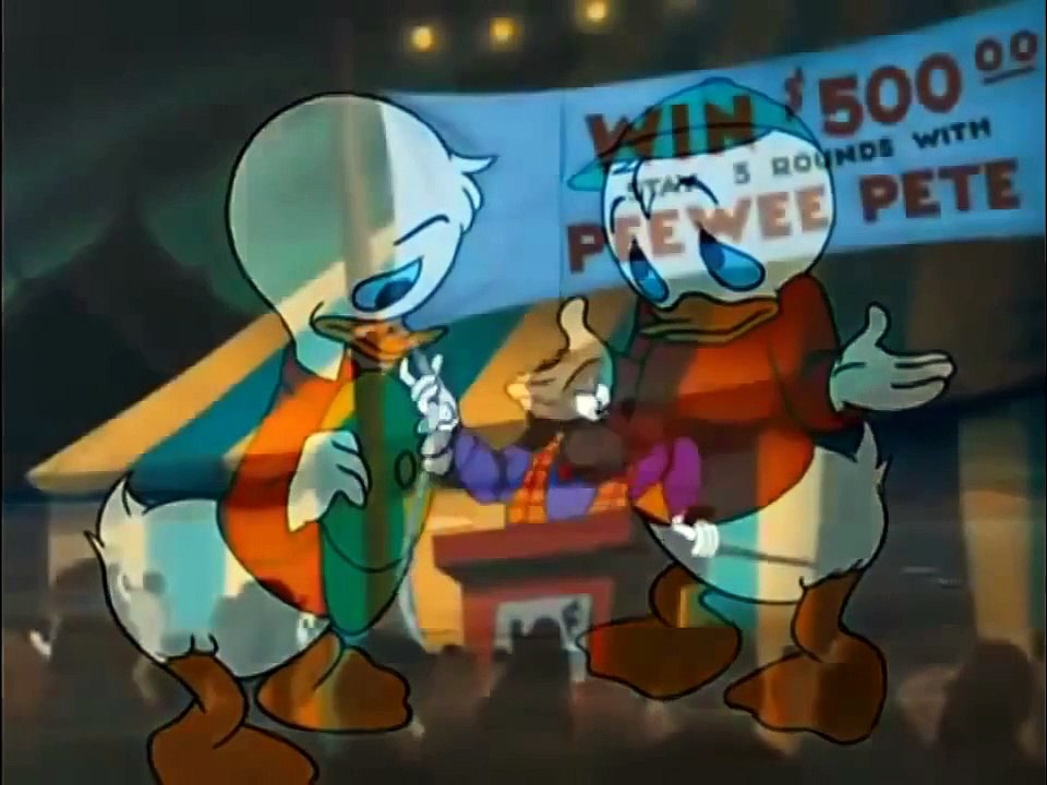 Donald Duck Canvas Back Duck (Full Episodes)