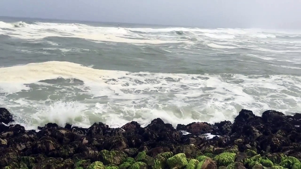 Into the Wild - a road trip to Salalah Oman