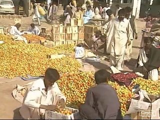 Shabbir Ibne Adil, PTV, News Report: Tomato mandi of Badin (2011)