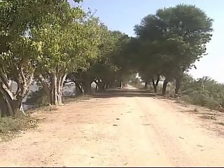 Shabbir Ibne Adil, PTV, News Report: Wetlands day (2011)