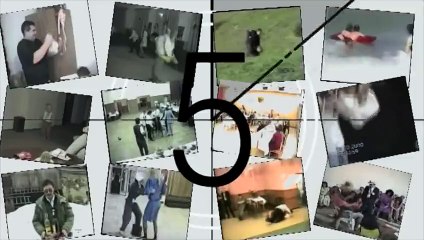 Funny Animals - Funny Home Videos - Hilarious Horse Act Ever