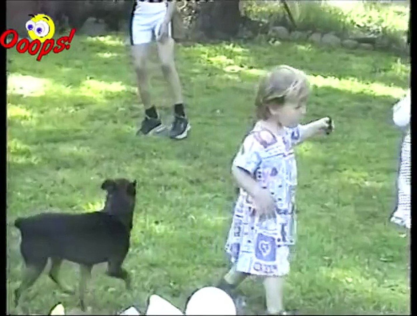 Funny Kids & Funny Dogs Compilation