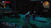 The Witcher 3: Wild Hunt Funny Moments and Glitches Pt2.